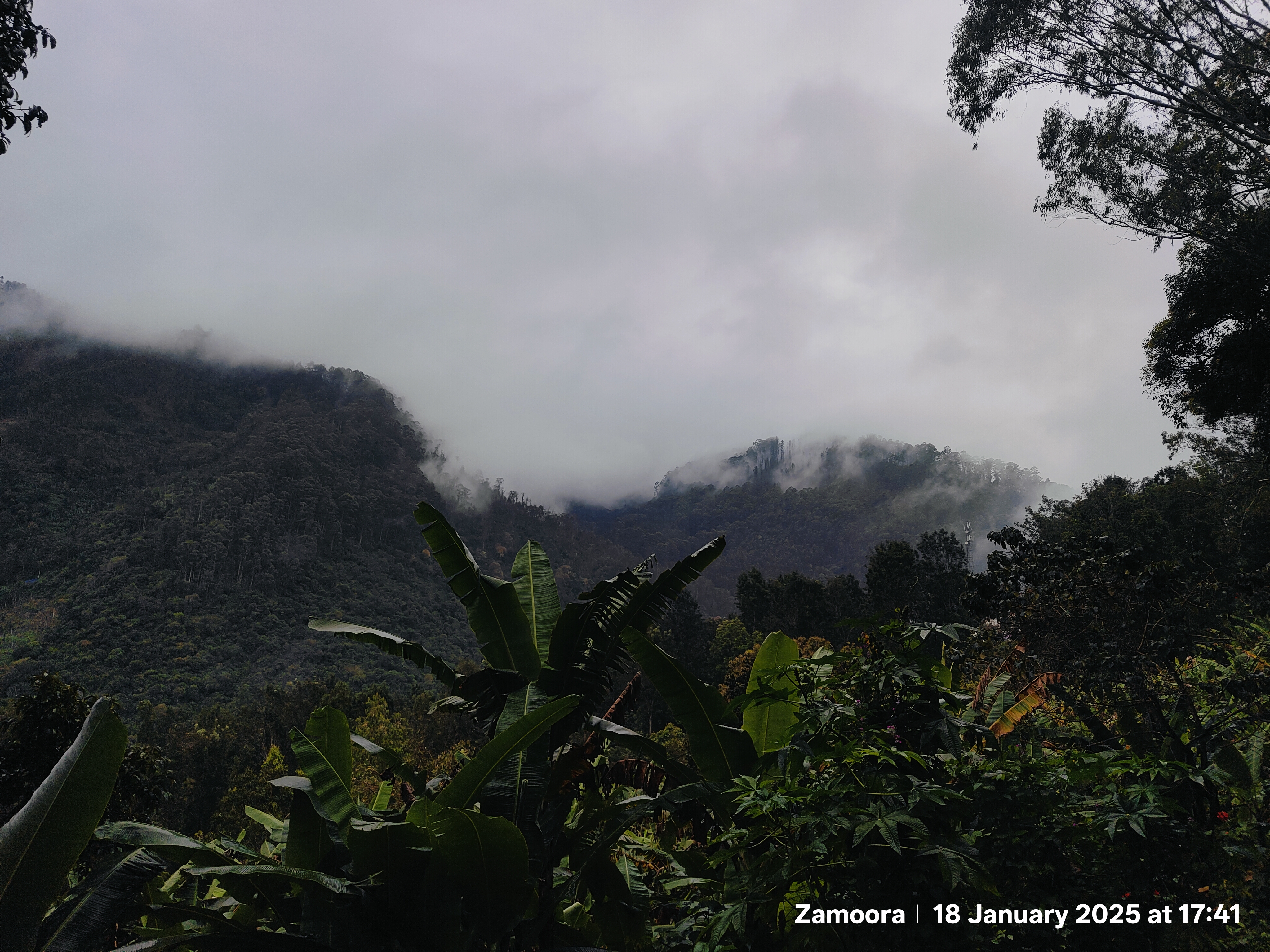 5 Hidden Gems in Kodaikanal
